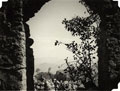 'Looking through a ruined door', North West Frontier, India, 1936