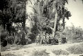 'Not Malabar but the N.W.F.P just outside Tank', North West Frontier, India, 1937