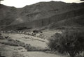 'Building the road to Kot', North West Frontier, India, 1937