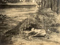 'Black Buck shot near Ambala 20/3/21', India, 1921