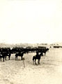 'A sqdn 9th H.H. marching past', 9th Hodson's Horse, Egypt, 1920