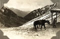 'Summit. Lowarai 10,600 Feet', North West Frontier, India, November 1930