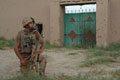 2nd Battalion The Parachute Regiment on patrol in Helmand Province, 2008