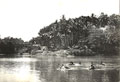 Elephants and mahouts in a river, India, 1910 (c)