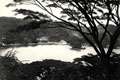 Riverscape, India, 1910 (c)
