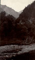 Landscape, India, 1910 (c)