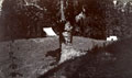 Tented camp in wooded landscape, India, 1910 (c)