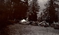 Tented camp in wooded landscape, India, 1910 (c)