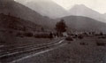 Landscape, India, 1910 (c)