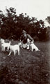 Colonel Sir Charles J Melliss VC in civilian dress with dogs, India, 1910 (c)