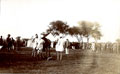Horses and grooms, India, 1910 (c)