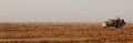 Land Rover of B Squadron, The Queens Royal Lancers, patrolling in southern Iraq, 2007