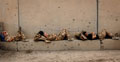 Troops from 1st Battalion The Staffordshire Regiment rest after a patrol in Basra, 8 April 2007