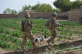 Operation COBRA BRAVEHEART, Helmand Province, Afghanistan, 2011