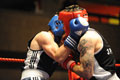 Boxing match in aid of Airborne Forces Charities, 2009