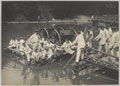 River crossing exercise, Royal Military Academy Woolwich, 1918
