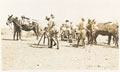 Mountain artillery, India, North West Frontier, 1927