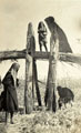 A reed hut under construction, Mesopotamia, 1915 (c)