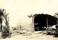 Arched reed hut, Mesopotamia, 1915 (c)