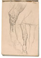Anatomical sketch of the legs of horses, no date