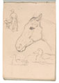 Various sketches, including a horse's head, no date