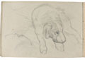 Sketch of a dog, no date