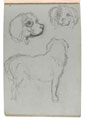 Sketches of dogs, no date