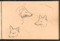 Studies of dogs, no date