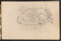 Sketch of a sleeping dog, 1879 (c)
