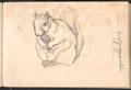 Sketch of a squirrel, 1879 (c)