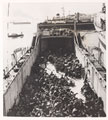 Troops aboard a landing craft bound for Port Said, 1956