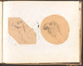 Sketches of camel heads, 1859 (c)