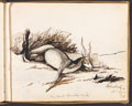 'My first black buck', India, 1858