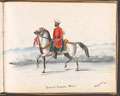 'Guzerat Irregular Horse', India, 1858