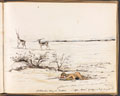 'St Patrick's day in "India" -"after deer" (and you wish you may get it)', India, 1858