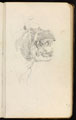 Study of a hippopotamus, no date