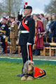 A sergeant of the 1st Battalion Royal Regiment of Fusiliers with the unit's 'stand in' mascot, 'George' the Otterhound, 2016