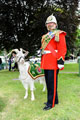 Sergeant Mark Jackson and 'Shenkin II', the regimental goat of the 3rd Battalion Royal Welsh, 2015