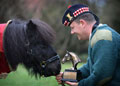 Pony Major Corporal Mark Wilkinson, Royal Regiment of Scotland, with former regimental mascot, 'Cruachan III', 2015
