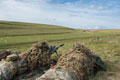 Royal Regiment of Fusiliers, Sniper Concentration Course, Salisbury Plain, 2017