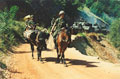 King's Royal Hussars on mounted patrol with pack horses, alongside their Challenger 1 main battle tanks, Mrkonjic Grad area, Bosnia, 1997
