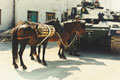 King's Royal Hussars pack horses alongside Challenger 1 tank, Mrkonjic Grad area, Bosnia, 1997