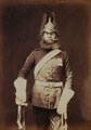Rough-rider Macnamara, 5th (Princess Charlotte of Wales's) Dragoon Guards, 1856
