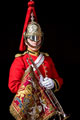 Trumpeter, Life Guards, 2017