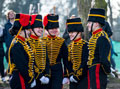 King's Troop, Royal Horse Artillery, Green Park, London, 2017