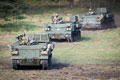 Armoured personnel carriers, 20th Armoured Infantry Brigade, Exercise BRIGHT GAUNTLET, Sennelager Training Area, Germany, 2017
