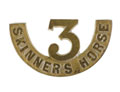 Shoulder title, 3rd Skinner's Horse, 1903-1922