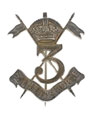 Cap badge, officer, 3rd Skinner's Horse, 1903-1922