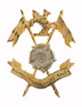 Cap badge, 1st Duke of York's Own Skinner's Horse, post-1950