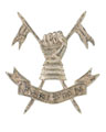 Cap badge, Pakistan Armoured Corps